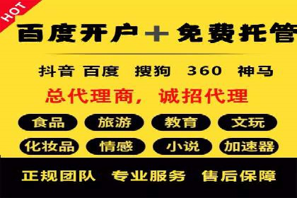 竞价推广公司案例：实战技巧与策略